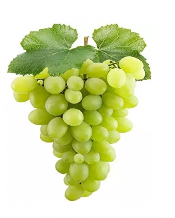 Green Grapes  250g