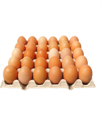 Egg Pack of 30, (Brown)