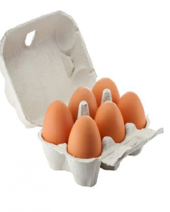 Egg Pack Of 6 (Brown)