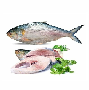 Bangladeshi Padma Hilsha (1kg)