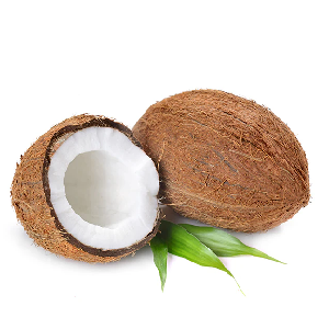 Coconut